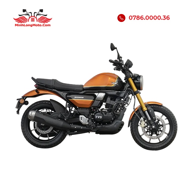 TVS Ronin 225 Cam