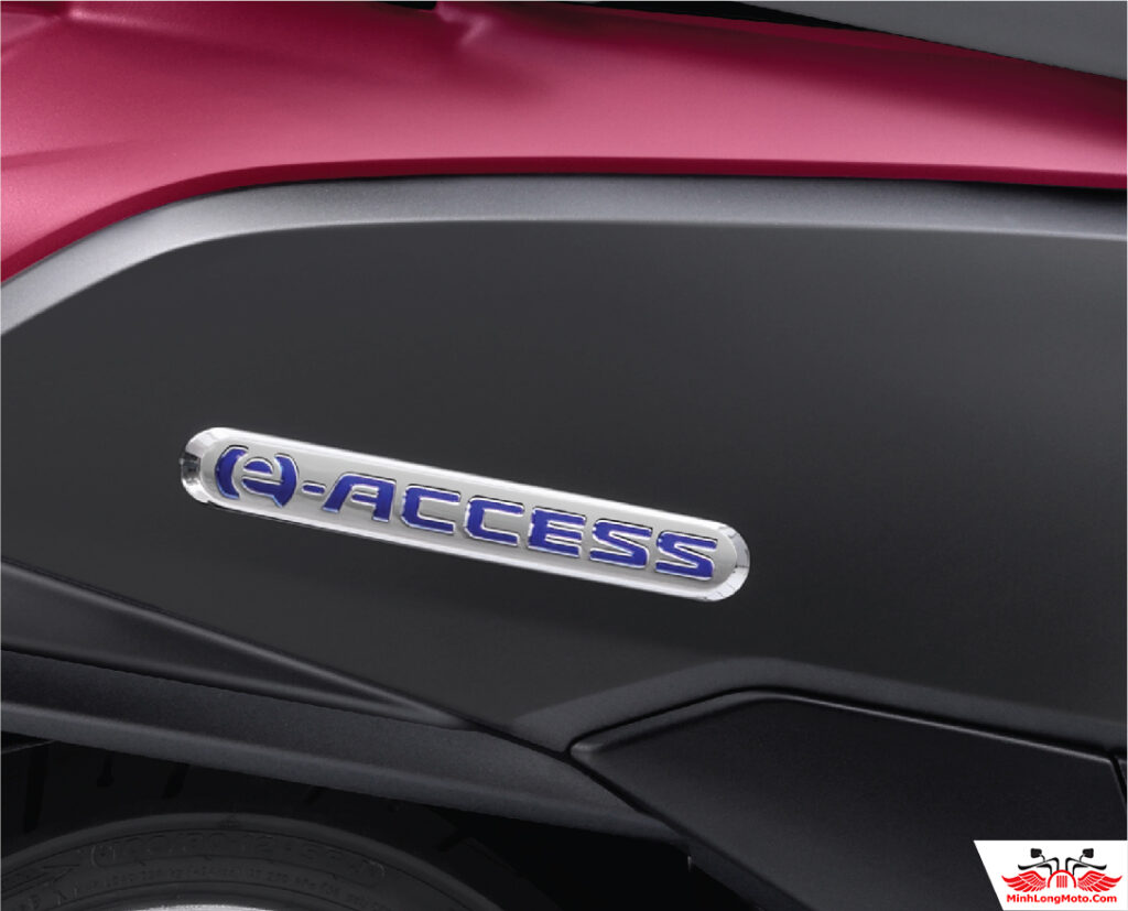 Suzuki e Access