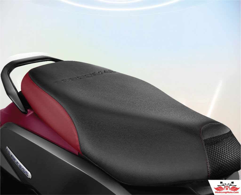 Suzuki e Access