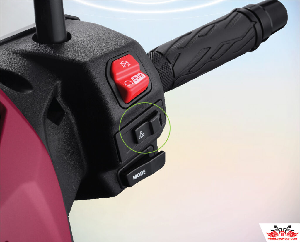 Suzuki e Access