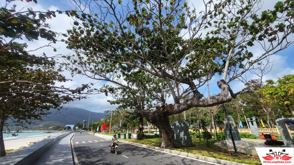 Hỗ trợ chi phí chuyển đổi xe điện