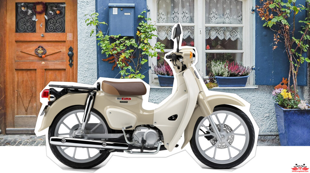 Ngoại hình Honda Cub 110 Lite