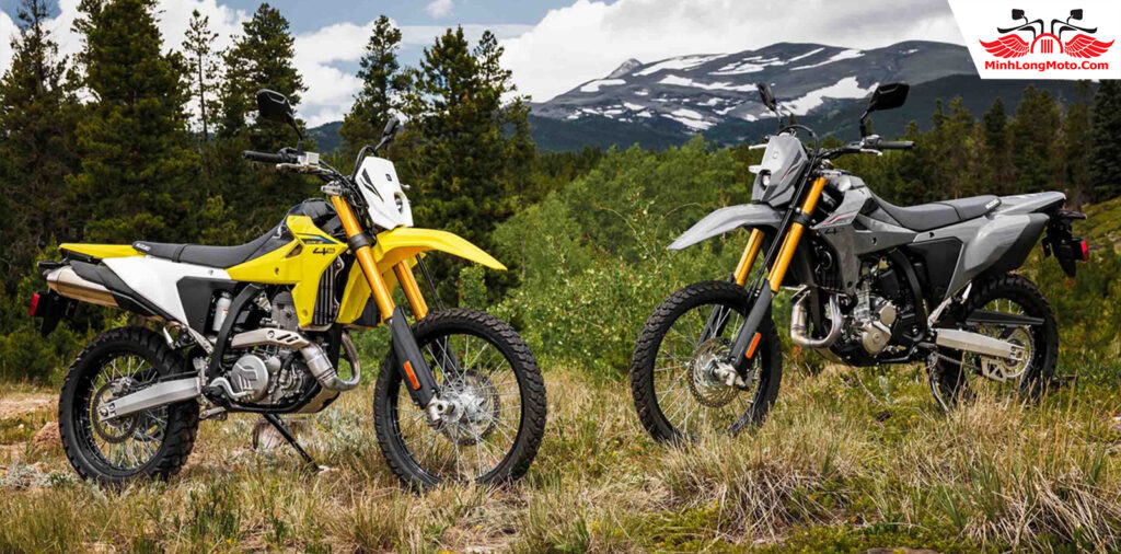 Suzuki DRZ4S
