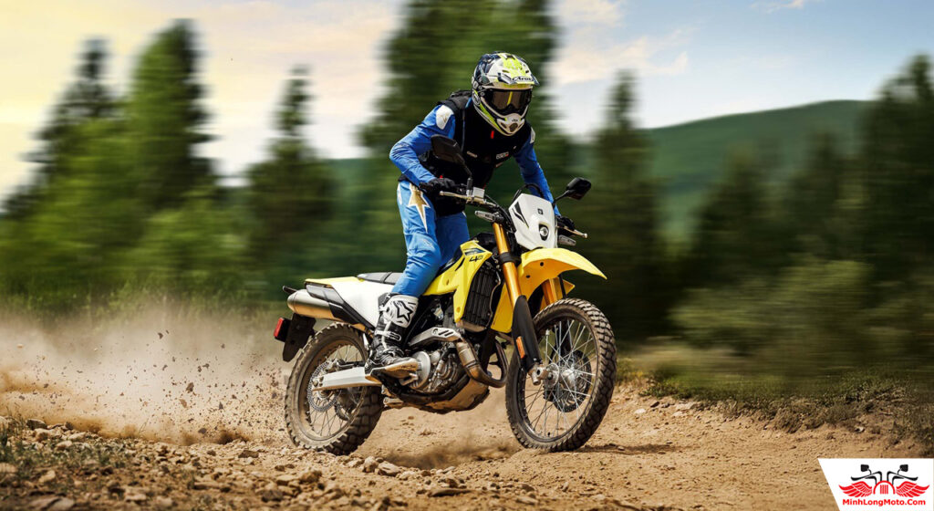Suzuki DRZ4S