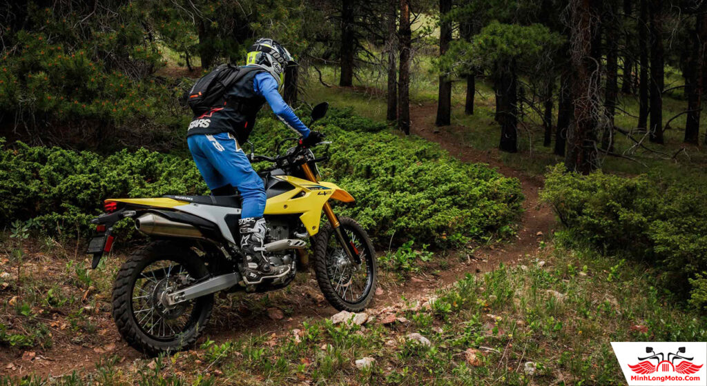Suzuki DRZ4S