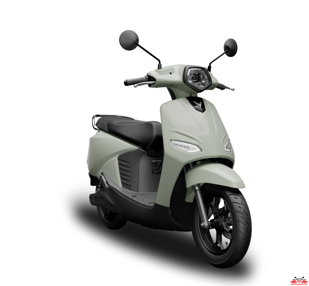 VinFast Vero X pin